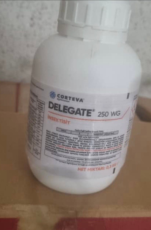 خرید حشرهکش دلجیت DELEGATE قاتل حرفهای تریپس